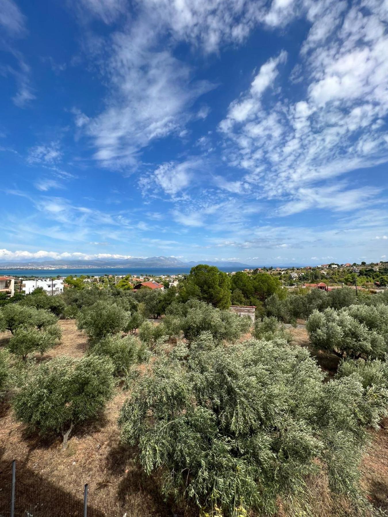 Willa Xenia'S Seaview House Paralia Avlidhos Zewnętrze zdjęcie